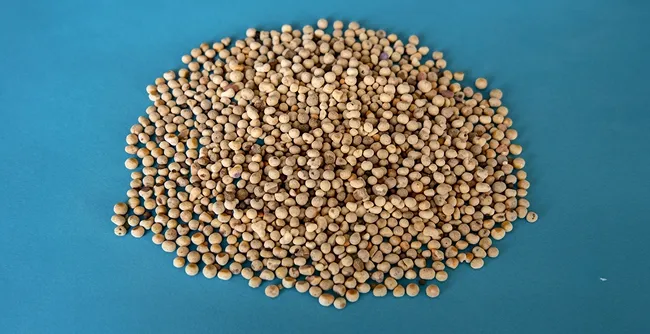 13X Molecular Sieve