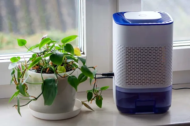 Dehumidifiers